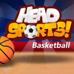 Head Sports Basketball