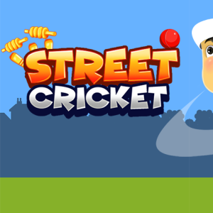 Street Cricket